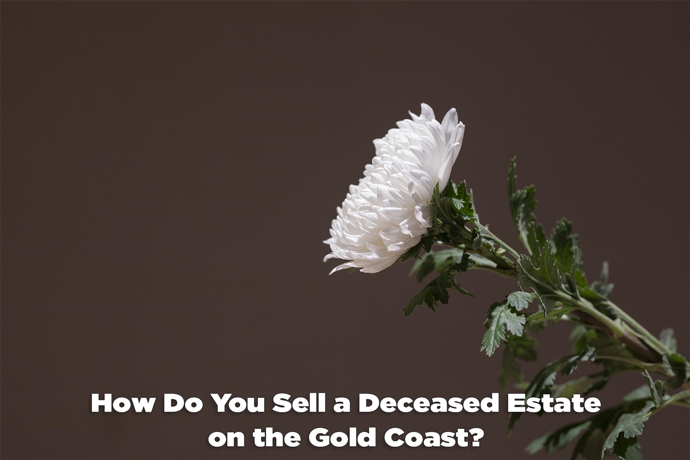 How Do You Sell a Deceased Estate on the Gold Coast - Craig Douglas 0418 189 963