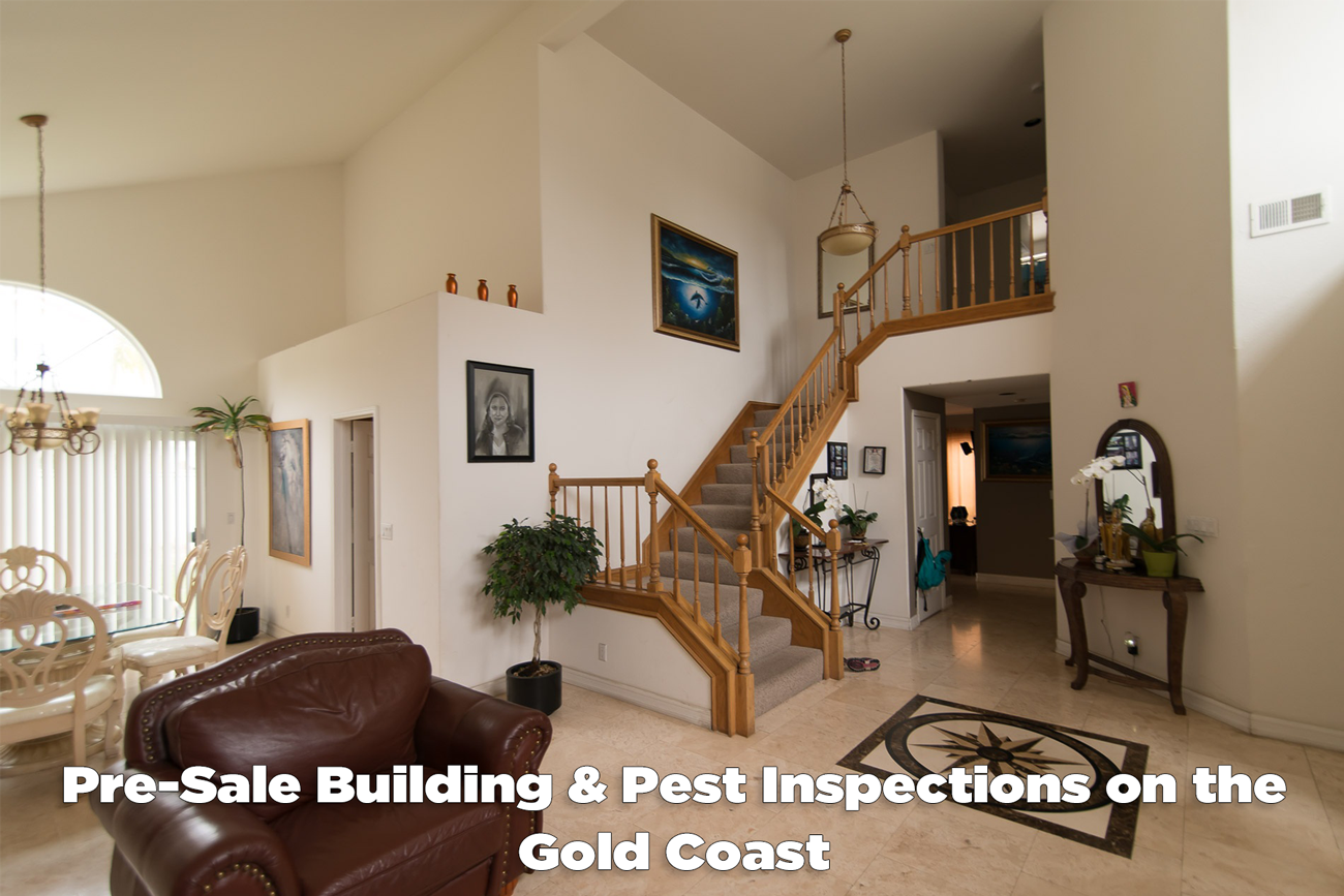 Pre-Sale Building & Pest Inspections on the Gold Coast